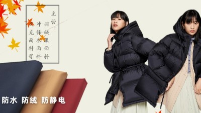 羽絨服的靈感|實(shí)用高顏值科技羽絨服面料